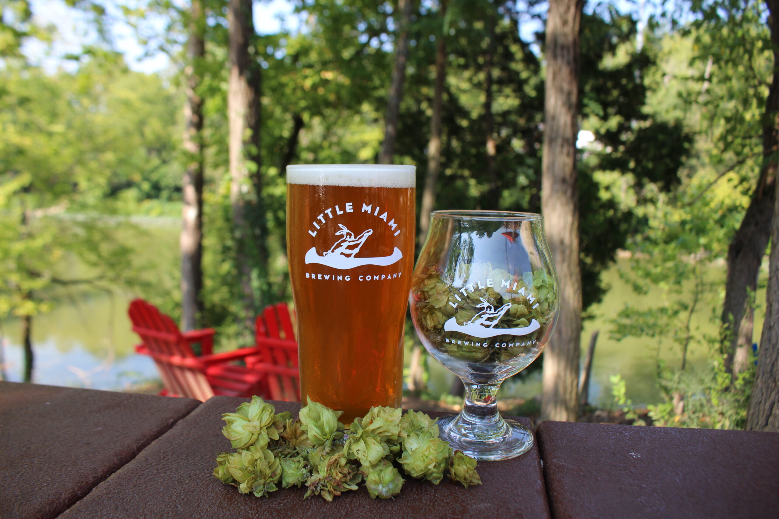 Exploring Blue Jacket Beer: A Trappist Belgian Quad Experience