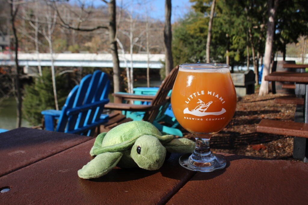 A glass of Little Miami Brewing Company's flavored beer A glass of Little Miami Brewing Company's flavored beer on a table outdoors, with a stuffed turtle nearby.